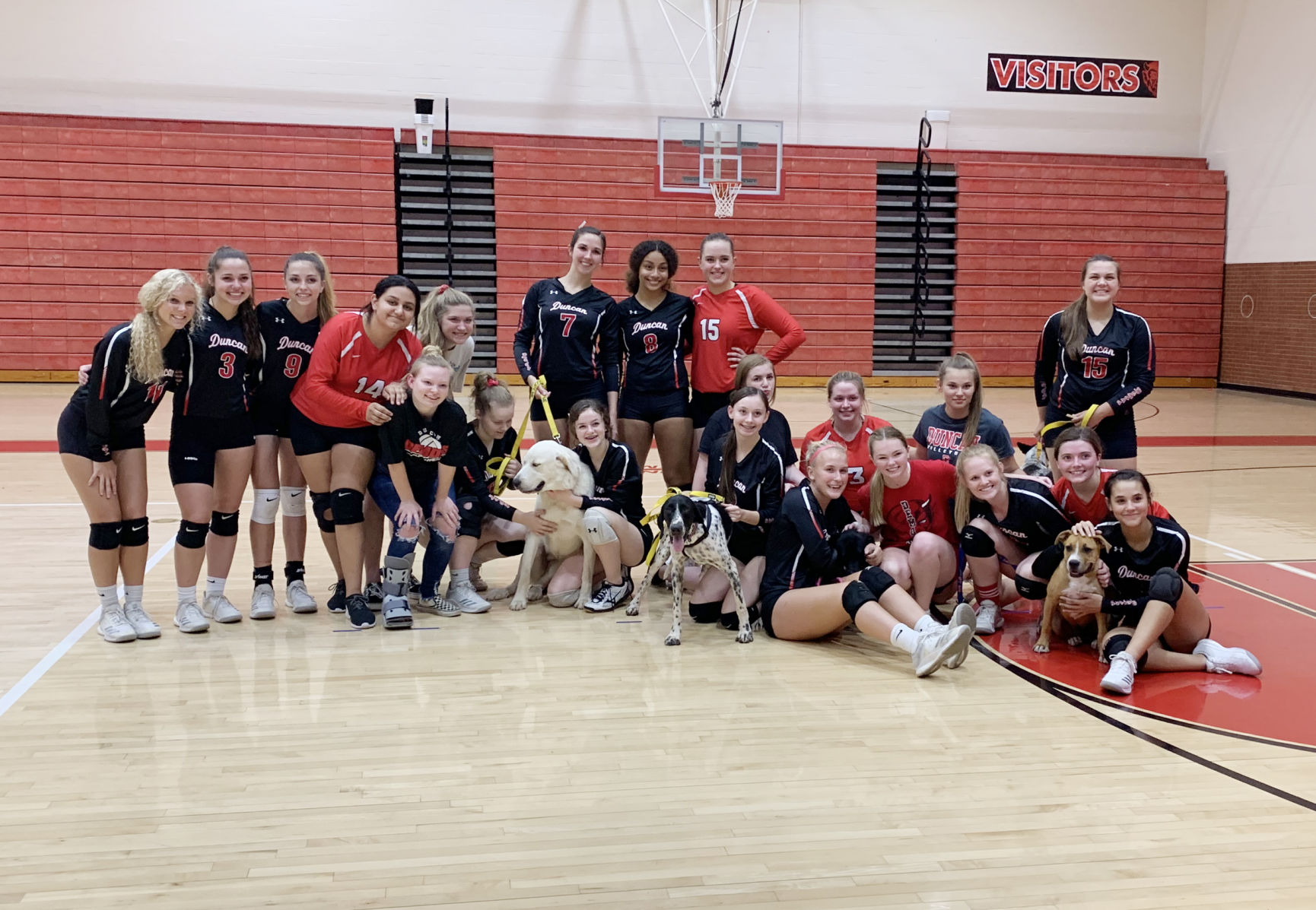 Humane Society- Volleyball